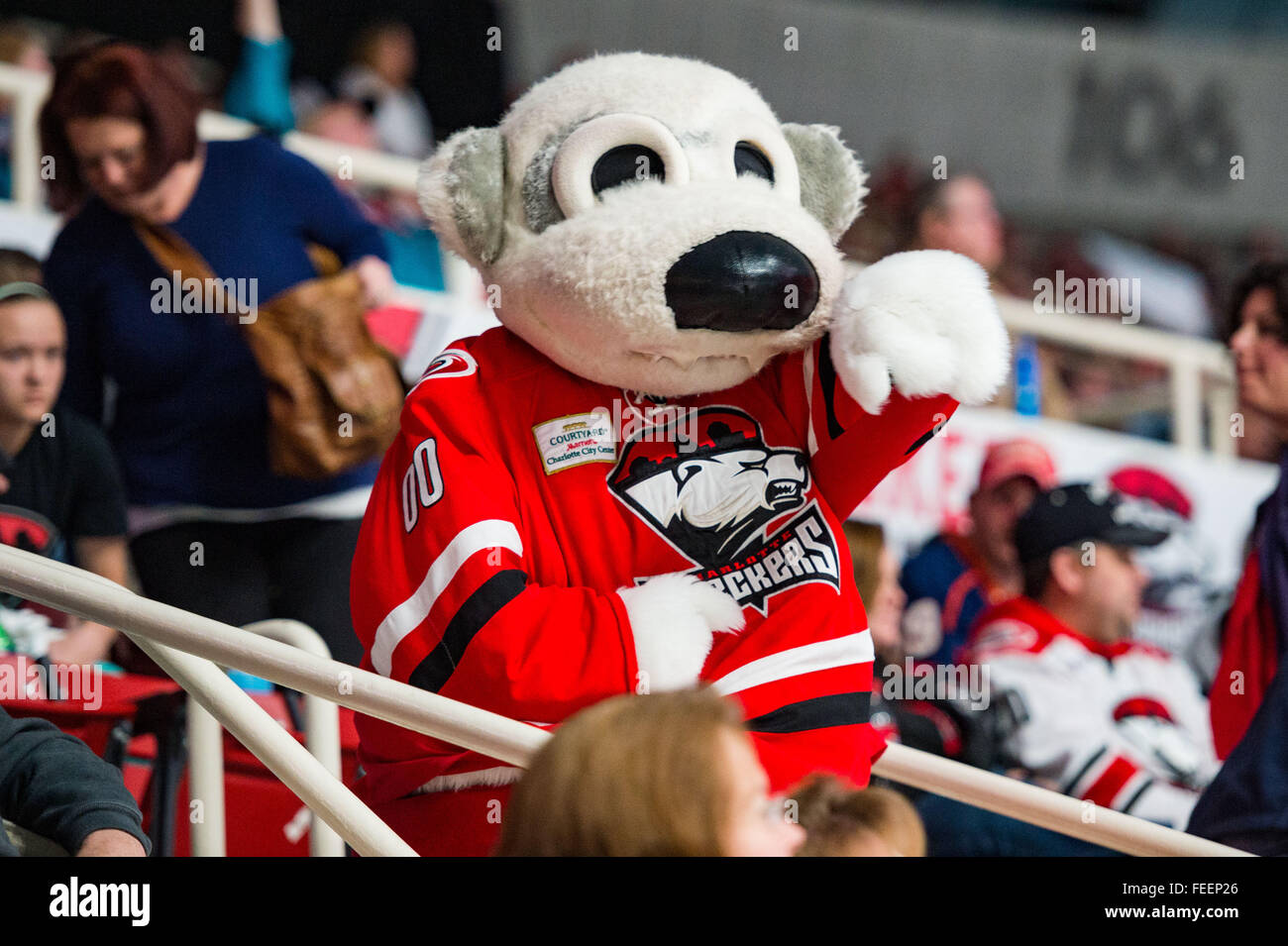 Charlotte checkers hi-res stock photography and images