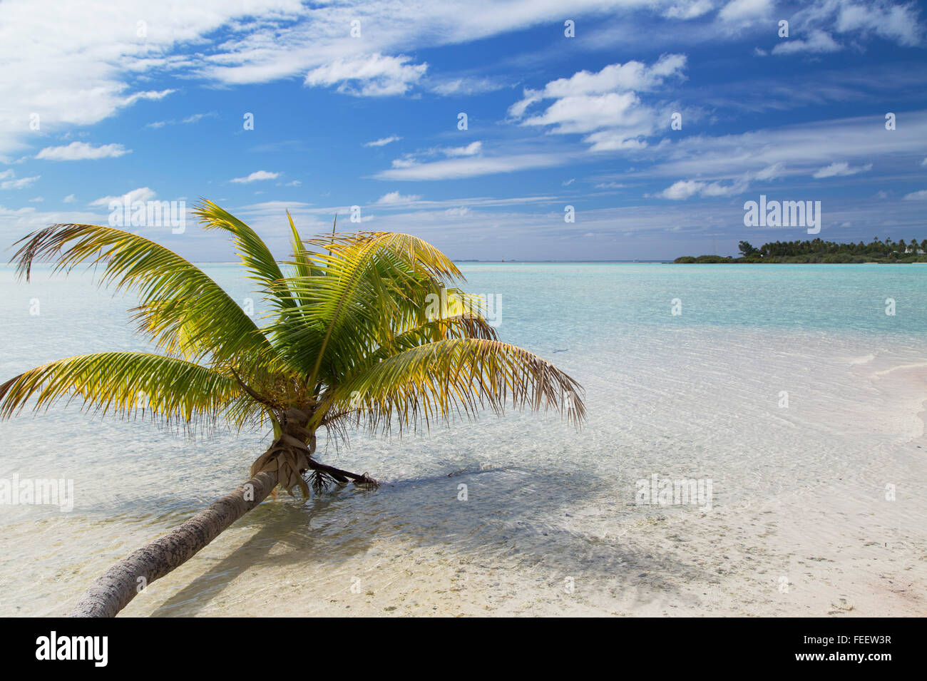 Les sables roses, Fakarava, Tuamotu - Drone Photography