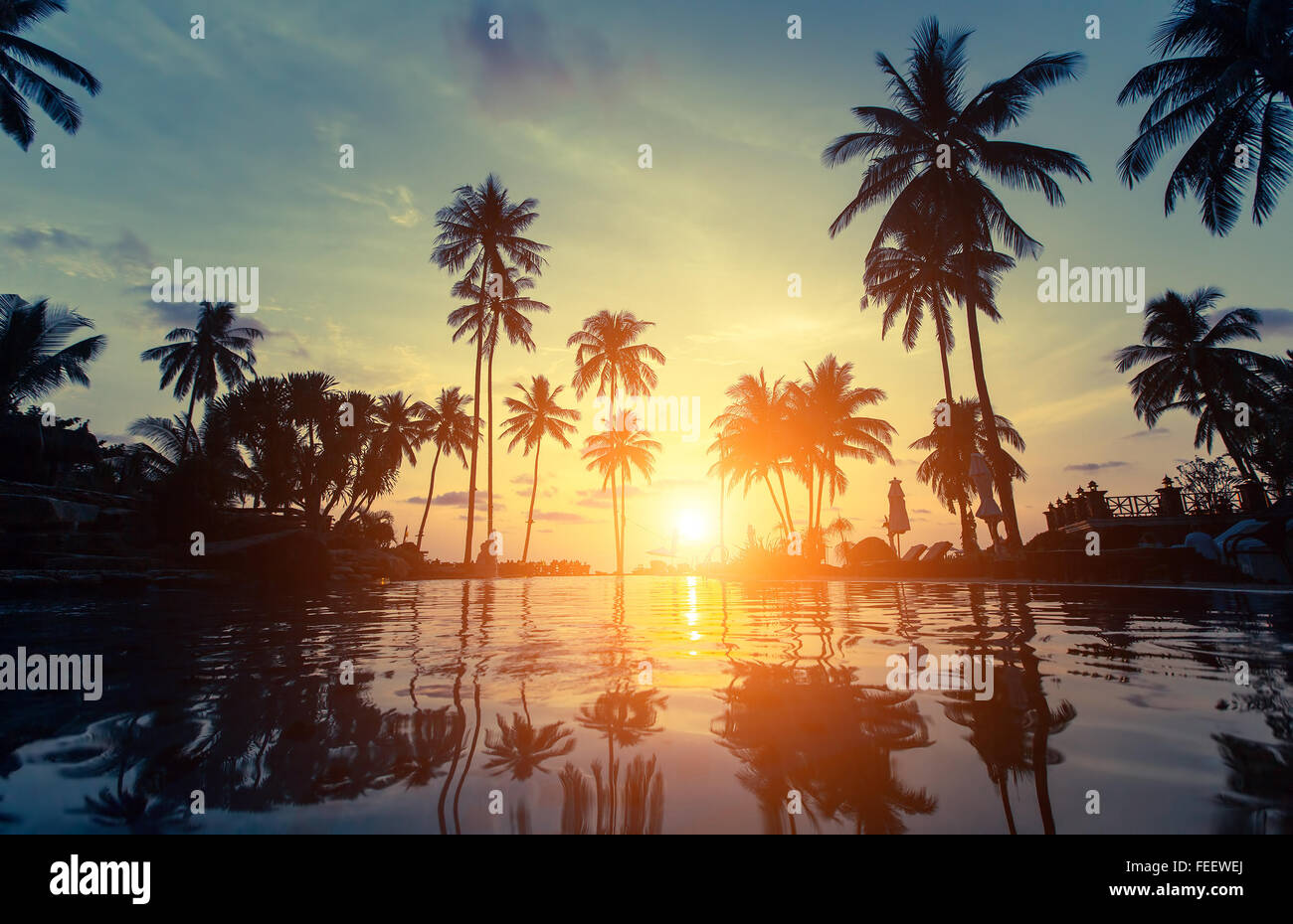 Palm trees silhouette at amazing sunset on the beach in the Thailand tropics. Stock Photo
