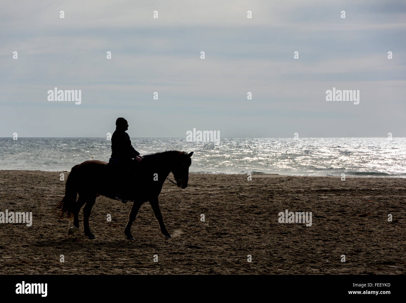Silhouette of Riders at the beach riding horses Stock Photo - Alamy