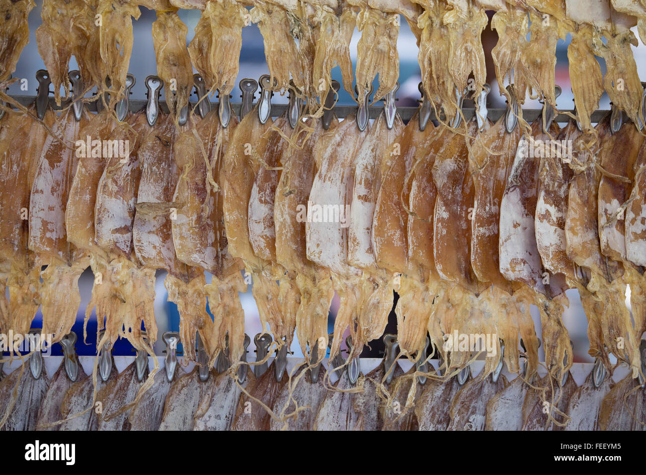 squid dry in for sale the market Stock Photo Alamy