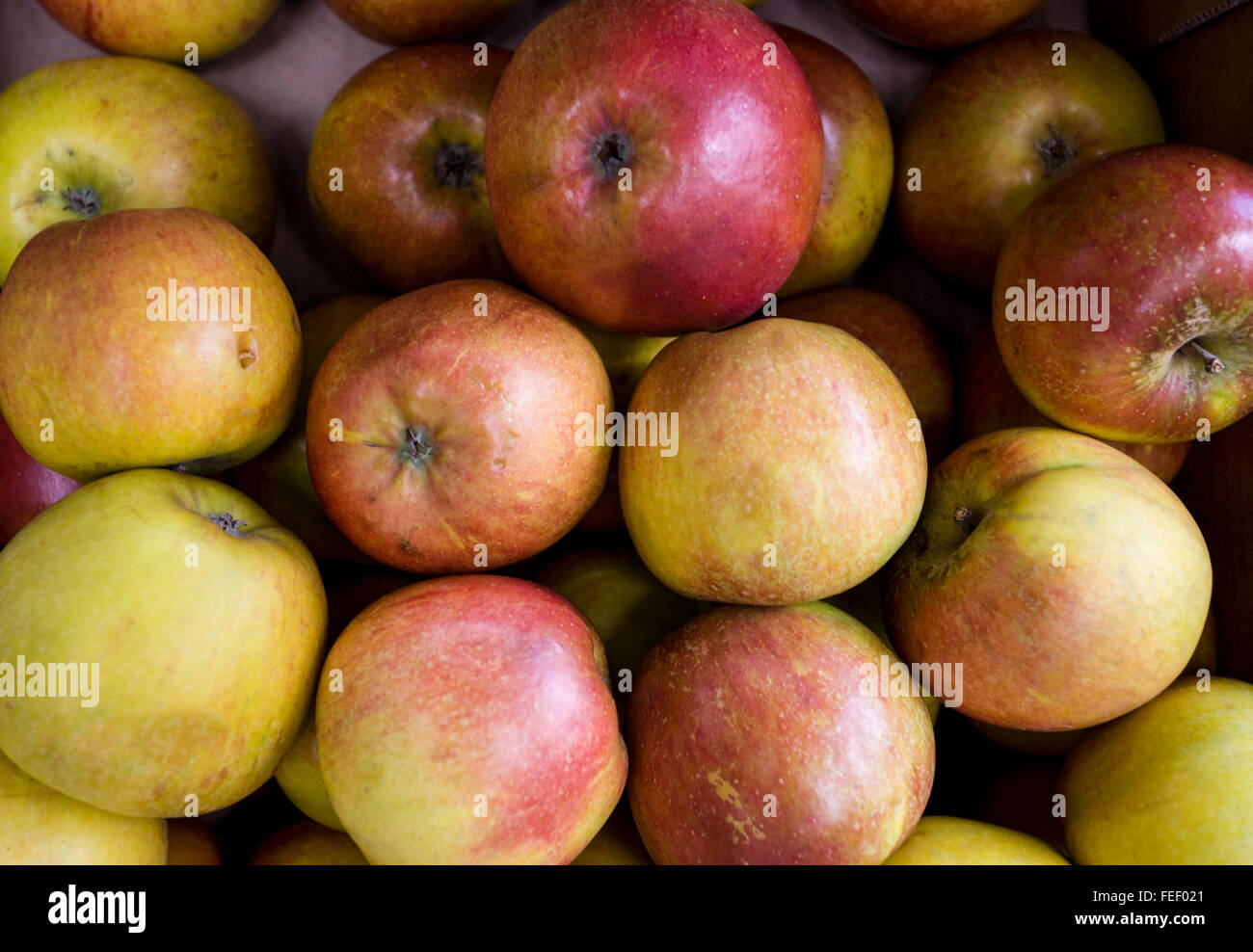 Crunchy Eating Apples Stock Photo Alamy