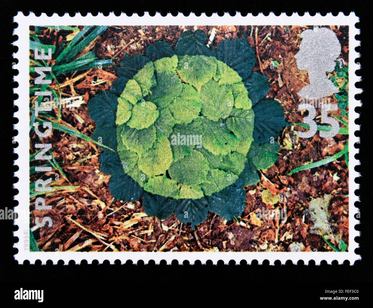 Postage stamp. Great Britain. Queen Elizabeth II. 1995. The Four Seasons. Springtime. Stock Photo
