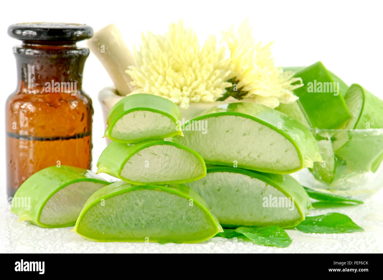 Barbados aloe hi-res stock photography and images - Alamy