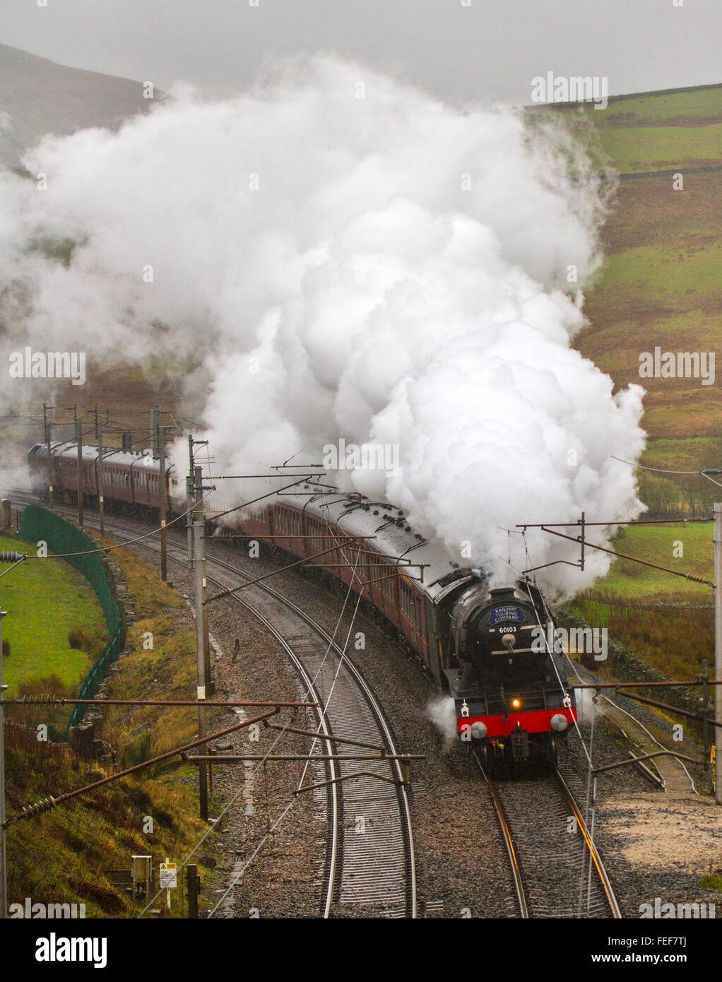 FLYING SCOTSMAN travelling up the West Coast Main Line to Carlisle.  The legendary Flying Scotsman LNER train making a trip along the Settle Carlisle Railway as part of its testing following a £4.2 million pound restoration led by by the National Railway Museum. Stock Photo