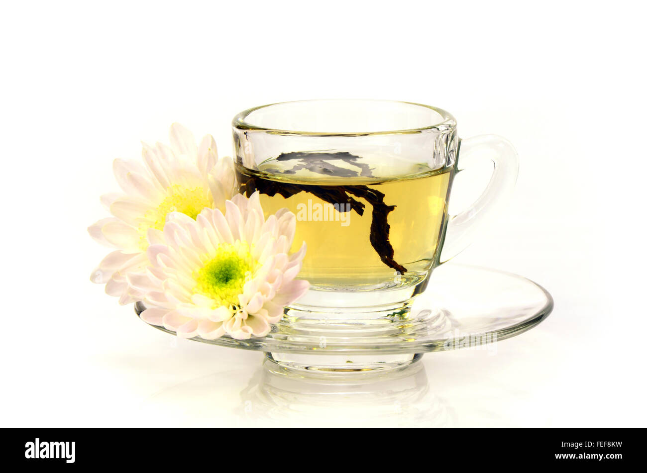 Chinese Tea with Chinese Herbal Medicine on White Background. Stock Photo