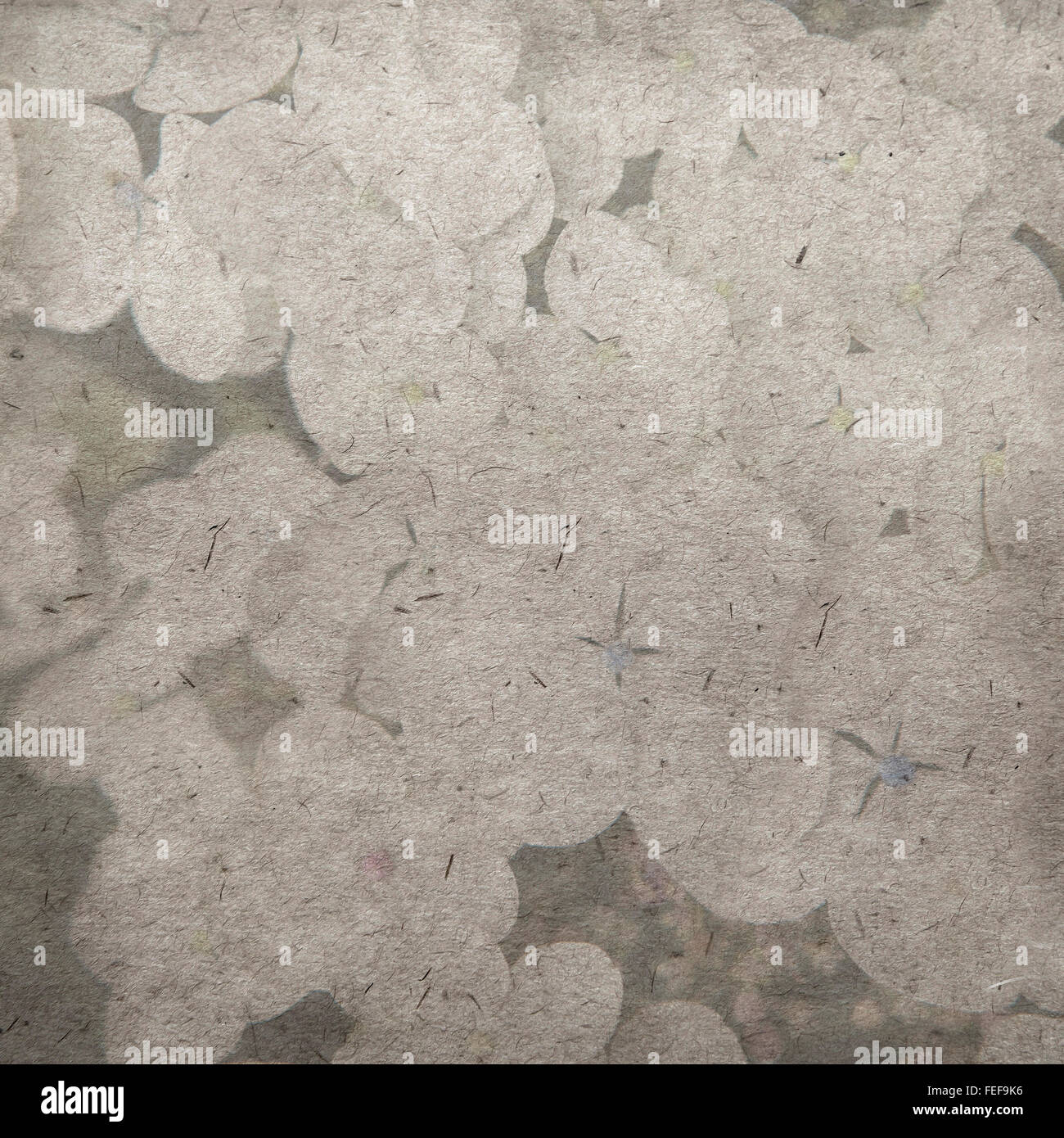 vintage wallpaper background with hydrangea paniculata Stock Photo - Alamy