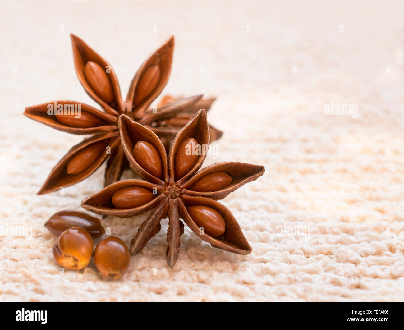 Star Anise pods and seeds on a cream textured background shot with