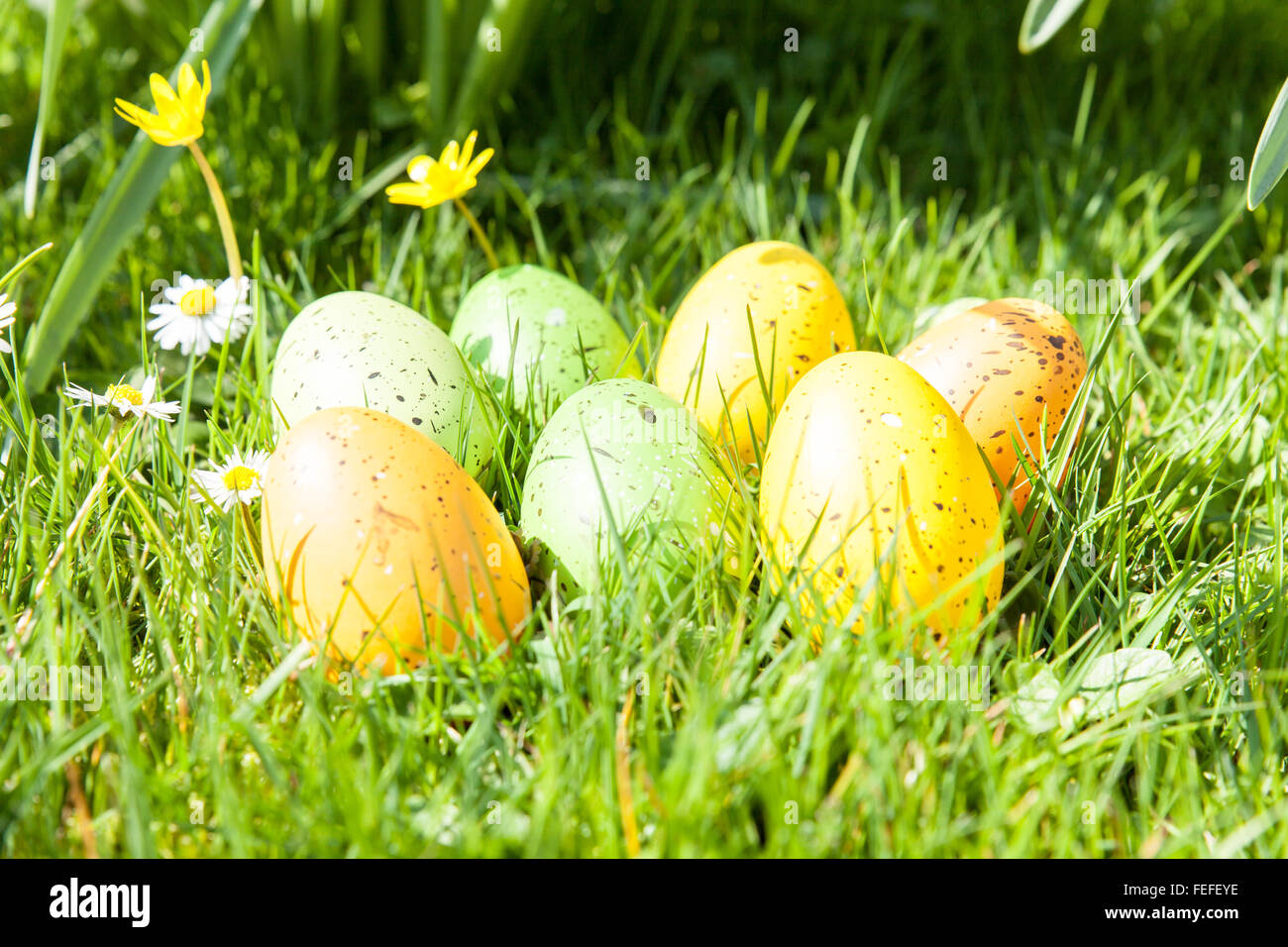 colored Easter eggs hidden in flowers and grass Stock Photo - Alamy