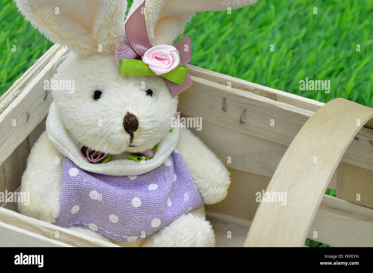 close up of an Easter bunny, female with purple dress,  sitting in a basket, outside on green grass, horizontal, full frame Stock Photo