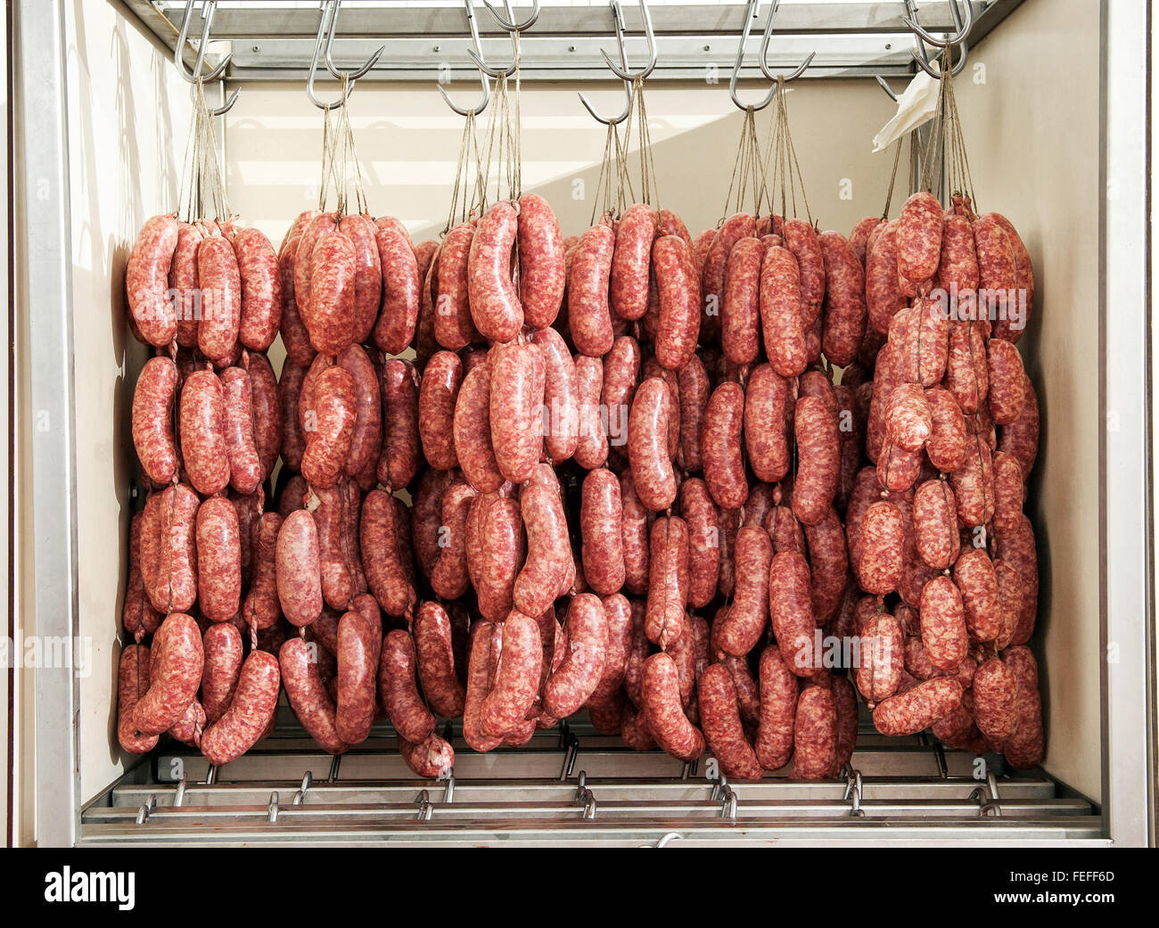 Freshly made sausages maturing in a cool room in a butchery hanging from hooks in a cabinet Stock Photo