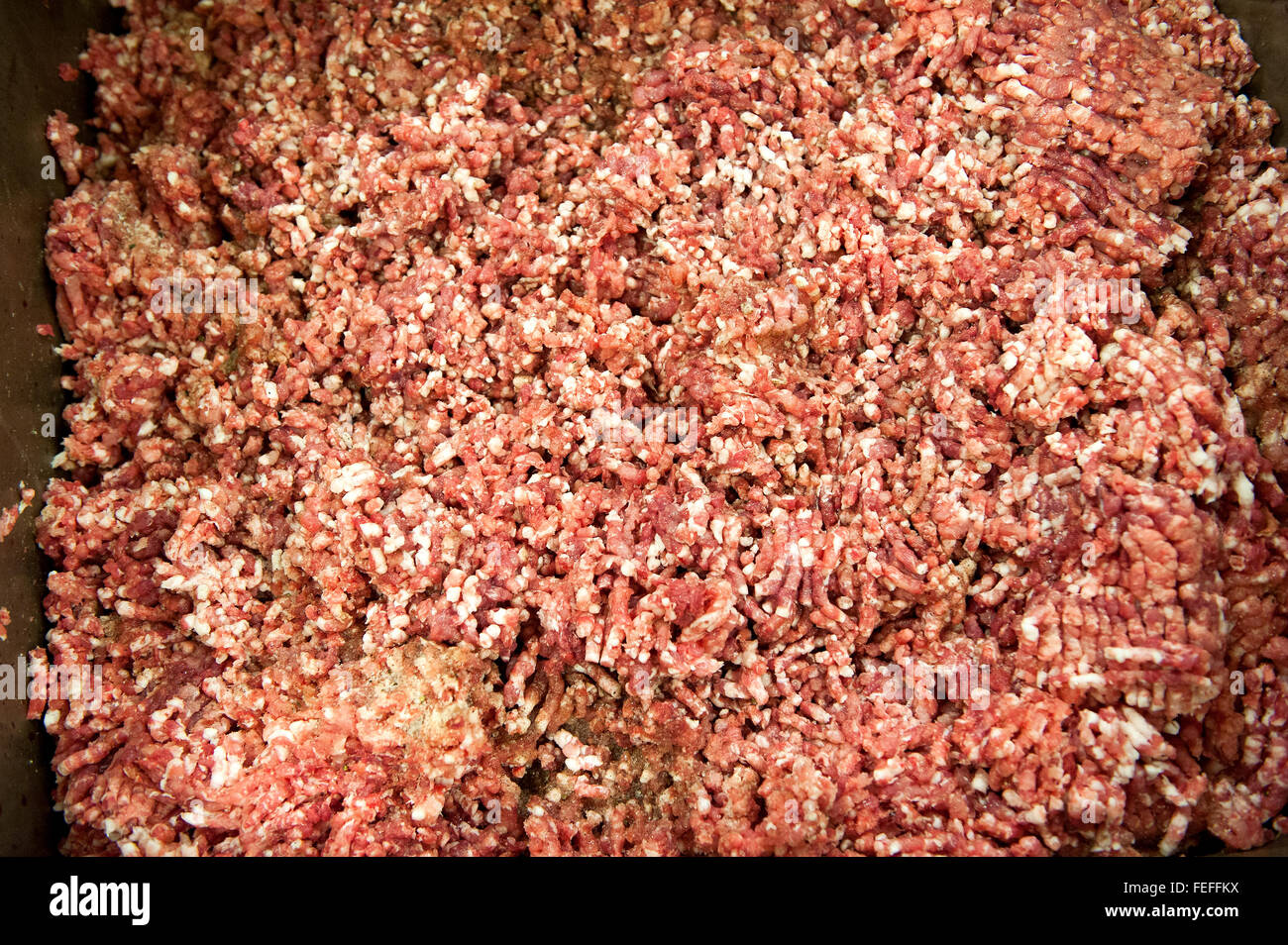 Freshly prepared spicy mince meat mixture for making salami in a butchery with ground beef and pork Stock Photo