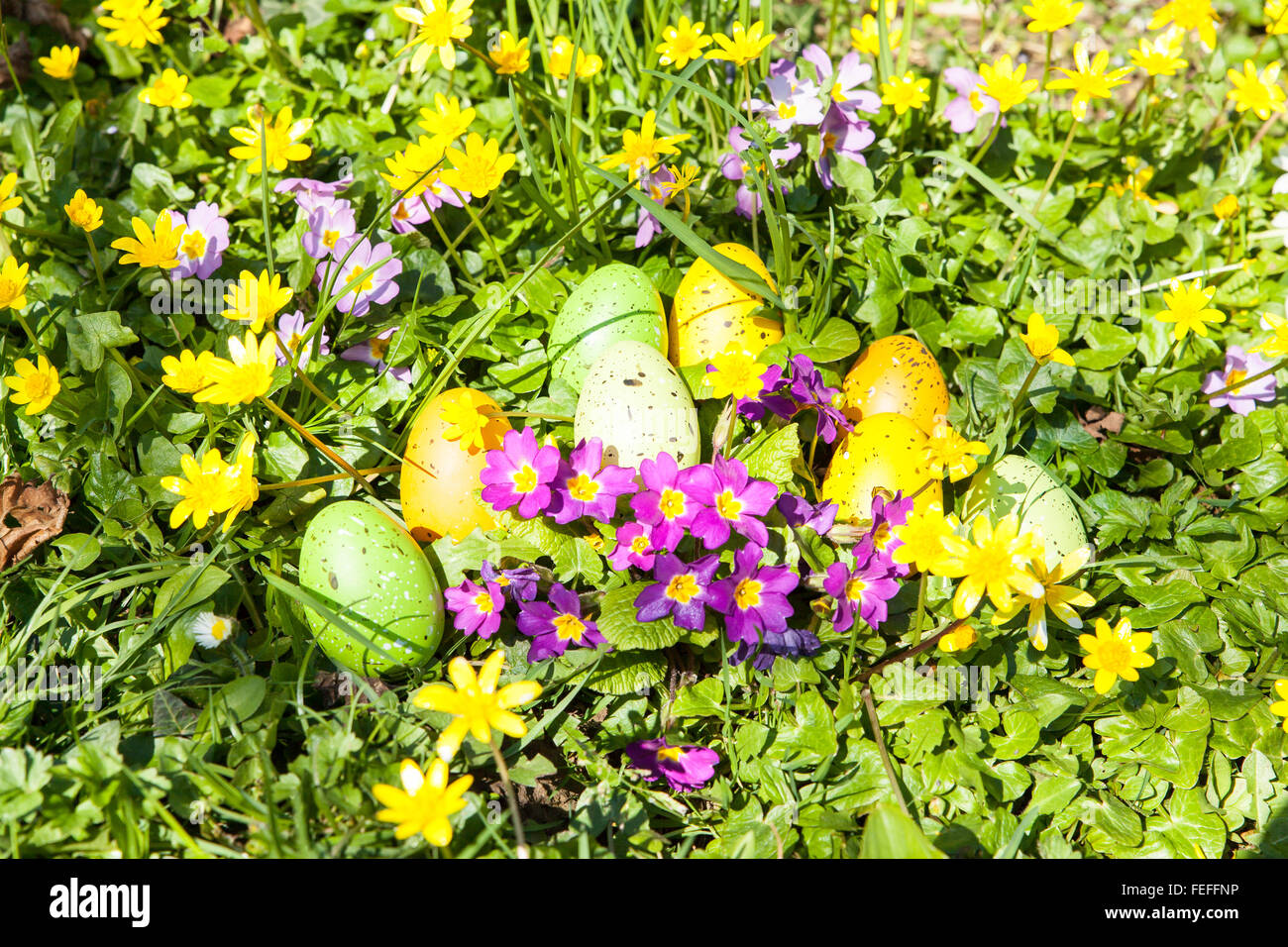 colored Easter eggs hidden in flowers and grass Stock Photo - Alamy
