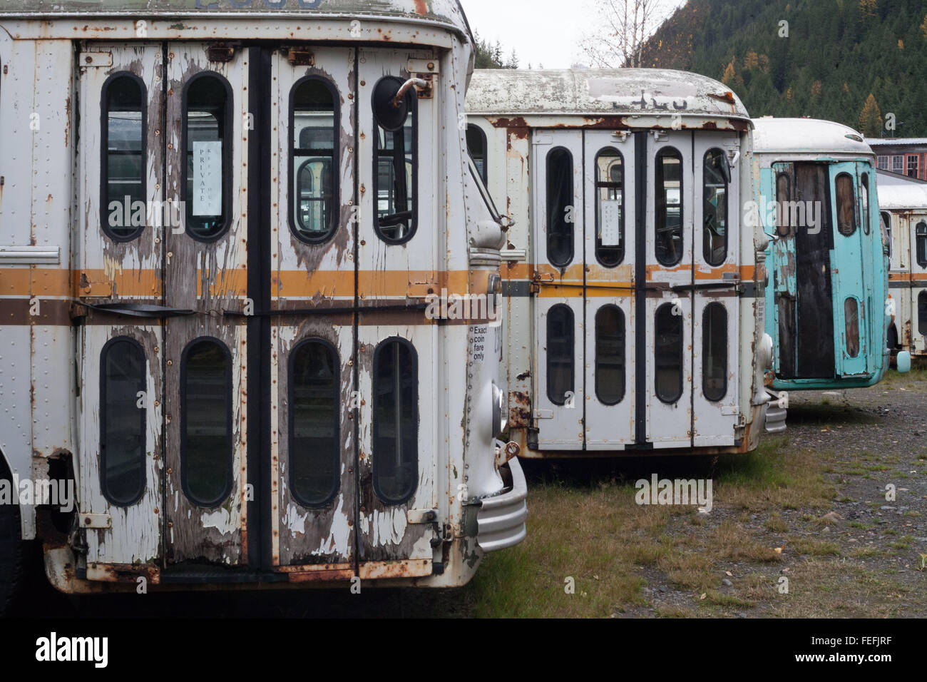 Historic Brill Trolley Buses sit abandoned, aged beyond the need for repair, in Sandon  British Columbia, waiting for tourists Stock Photo