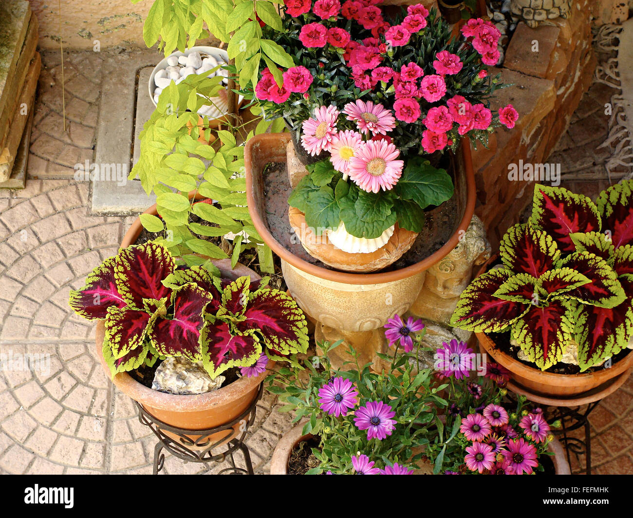 Home various flowers in pots. Design Italian courtyards Stock Photo Alamy