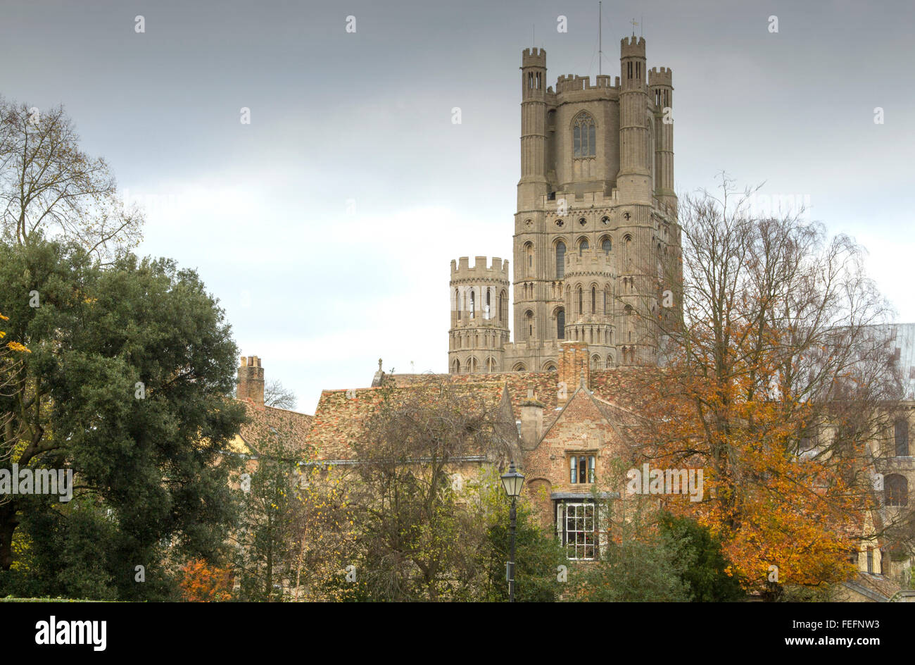 Ely Cathedral, Cambridge, UK Stock Photo Alamy