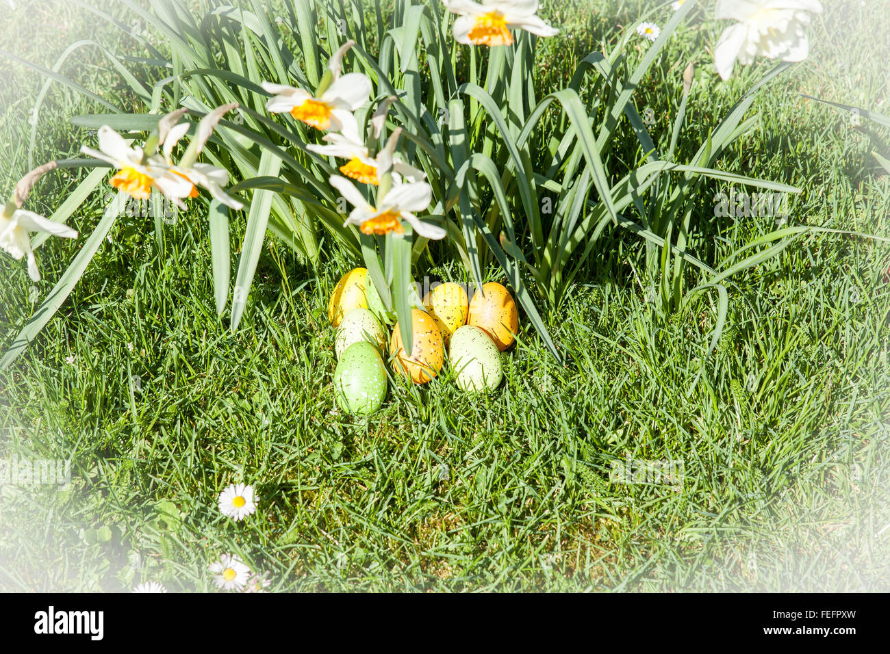 colored Easter eggs hidden in flowers and grass Stock Photo - Alamy