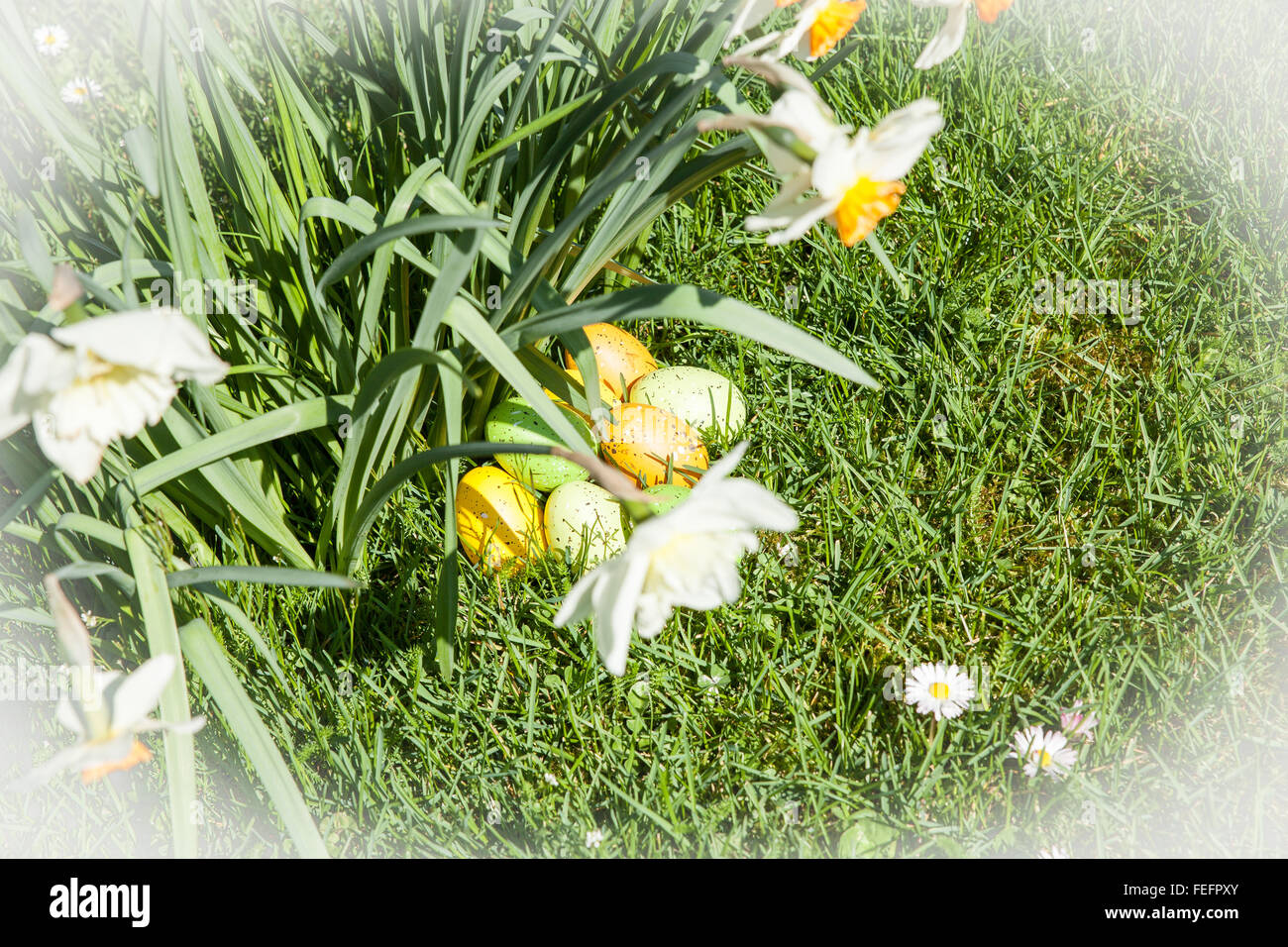 colored Easter eggs hidden in flowers and grass Stock Photo - Alamy