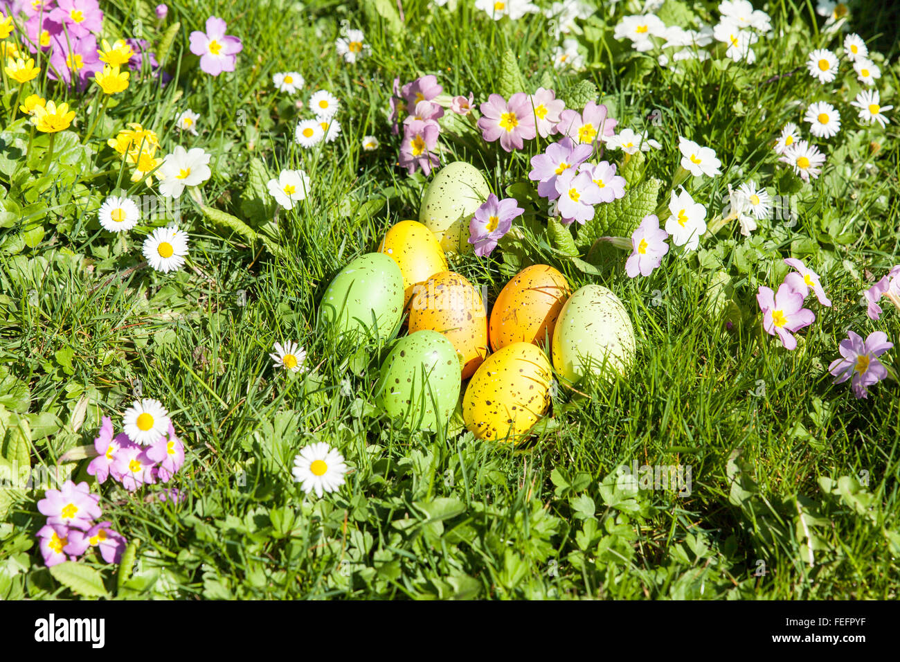 colored Easter eggs hidden in flowers and grass Stock Photo - Alamy