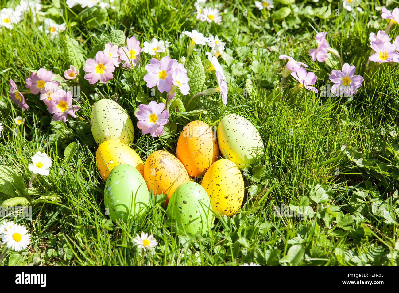 colored Easter eggs hidden in flowers and grass Stock Photo - Alamy