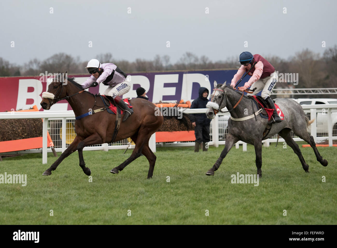 Sandown Park, Surrey, UK  6th February 2016 Richard Johnson wins the last race on Pinnacle Panda for Tom Lacey holding the challenge of the grey horse Bon Enfant ridden by Gavin Sheehan Credit: Michael Stevens/ Alamy Live News Stock Photo