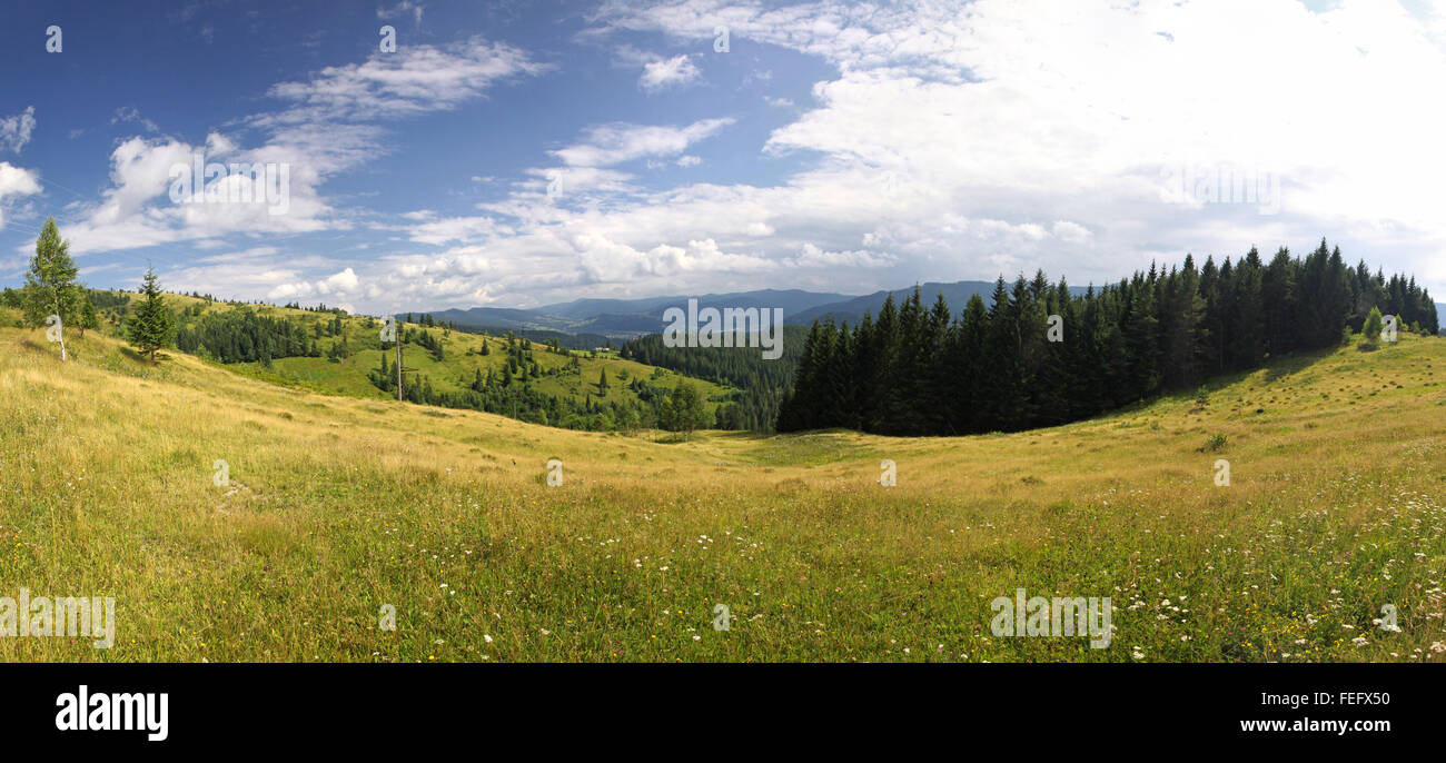 Panoramic view of summer Carpathian mountains, Ukraine Stock Photo