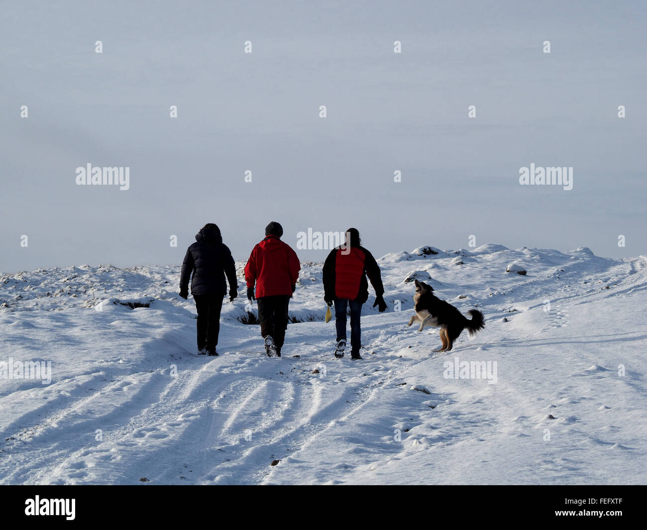 snowscape with tracks and three walkers with  jumping dog on snow covered Cumbrian moor in winter Stock Photo
