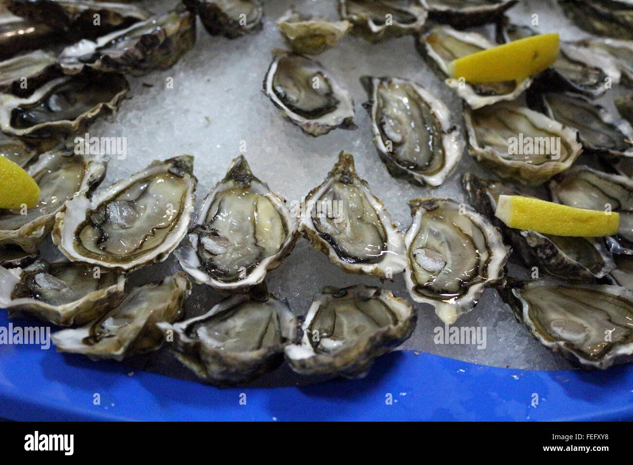 oysters on the half shell on ice Stock Photo Alamy