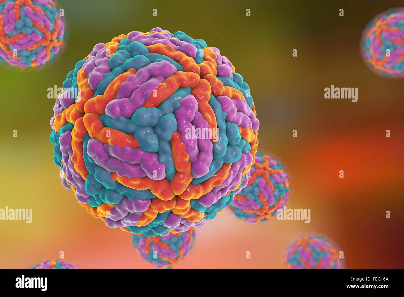 Dengue virus, computer model. Dengue virus is an RNA-virus from Flaviviridae family. It is transmitted by mosquitoes, and Stock Photo