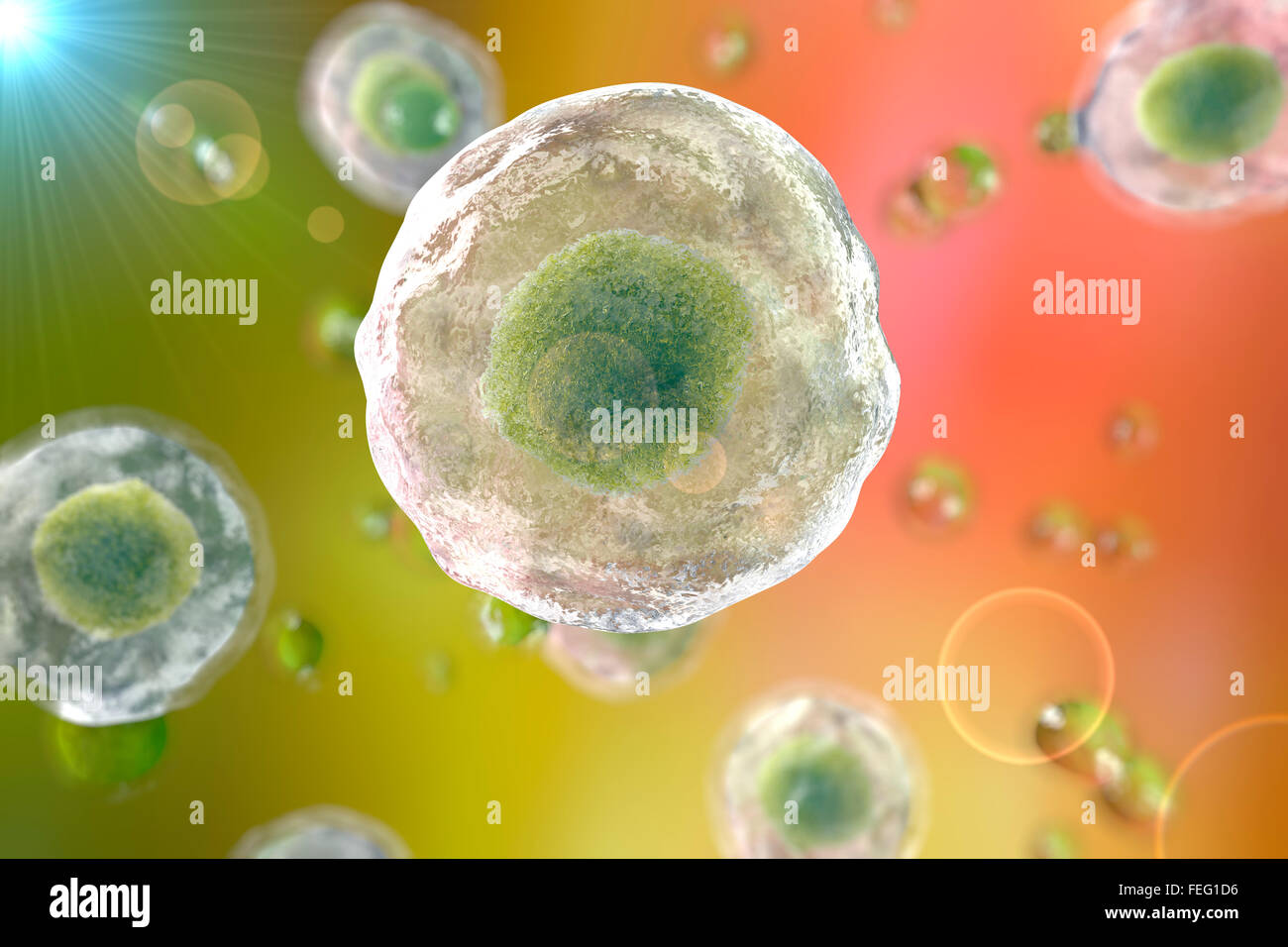 Human cells, computer illustration Stock Photo