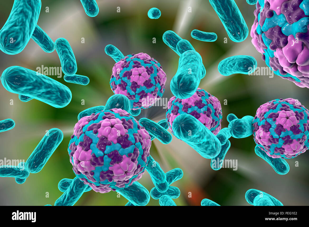 Illustration of bacteria and hepatitis A virus. Many infectious diseases are transmitted by drinking water. This includes Stock Photo
