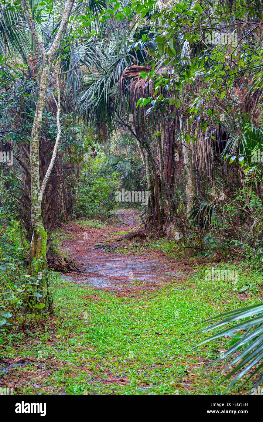 Hardwood hammock hires stock photography and images Alamy