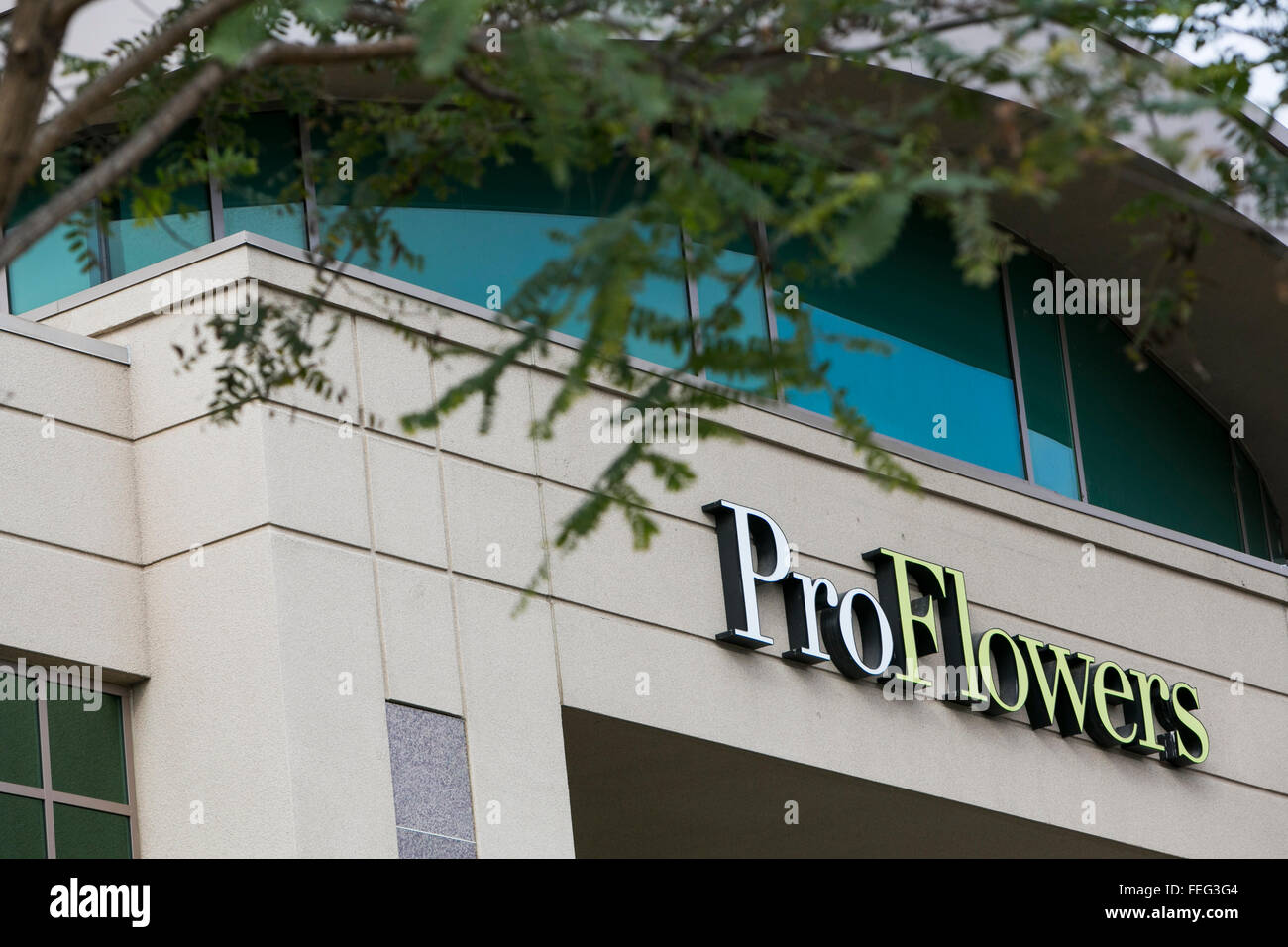 A logo sign outside of the headquarters of ProFlowers in San Diego