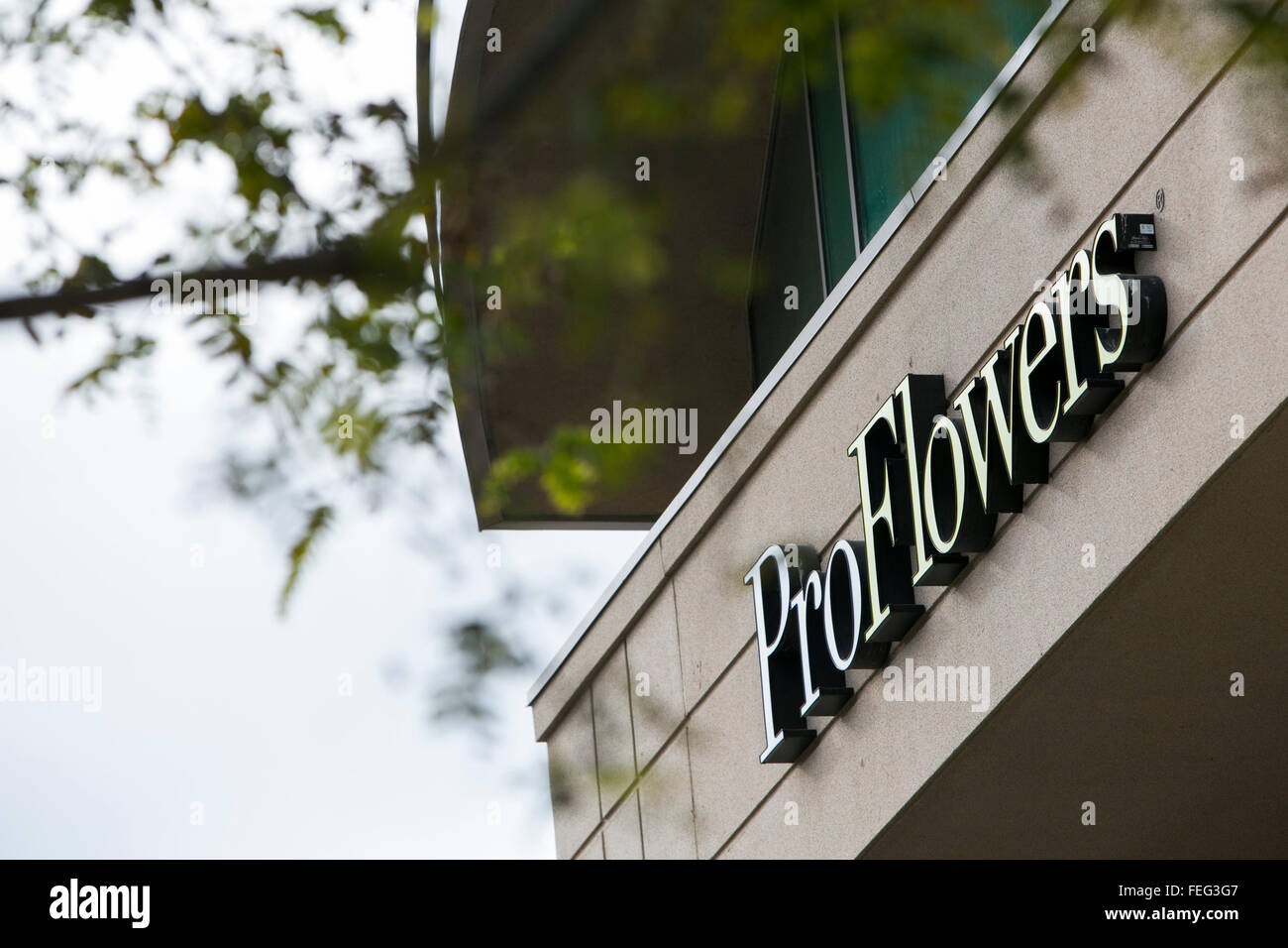A logo sign outside of the headquarters of ProFlowers in San Diego