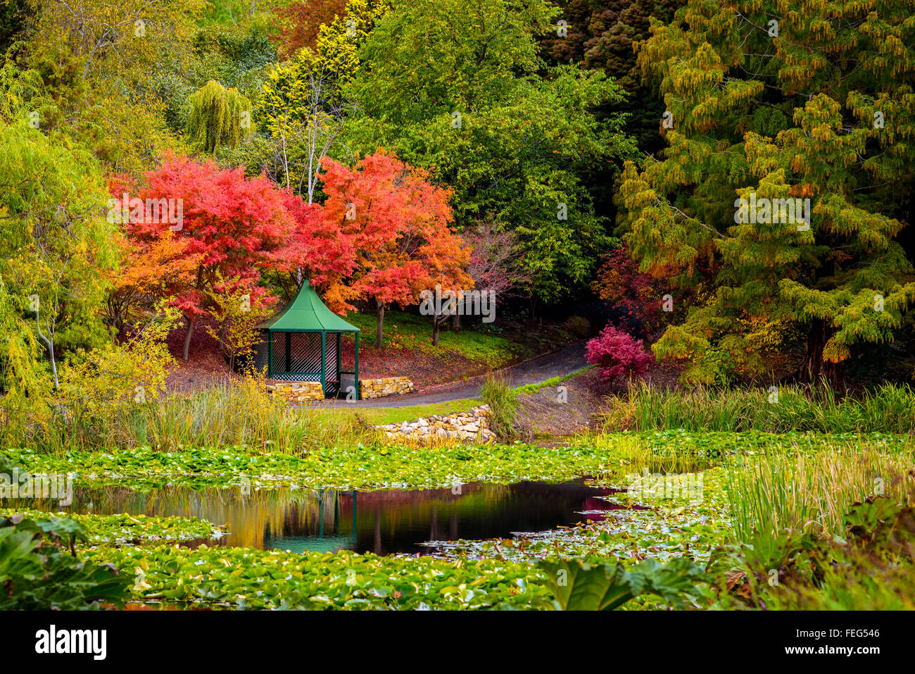 Gazebo in the colourful autumn park by the pond during the rain Stock ...