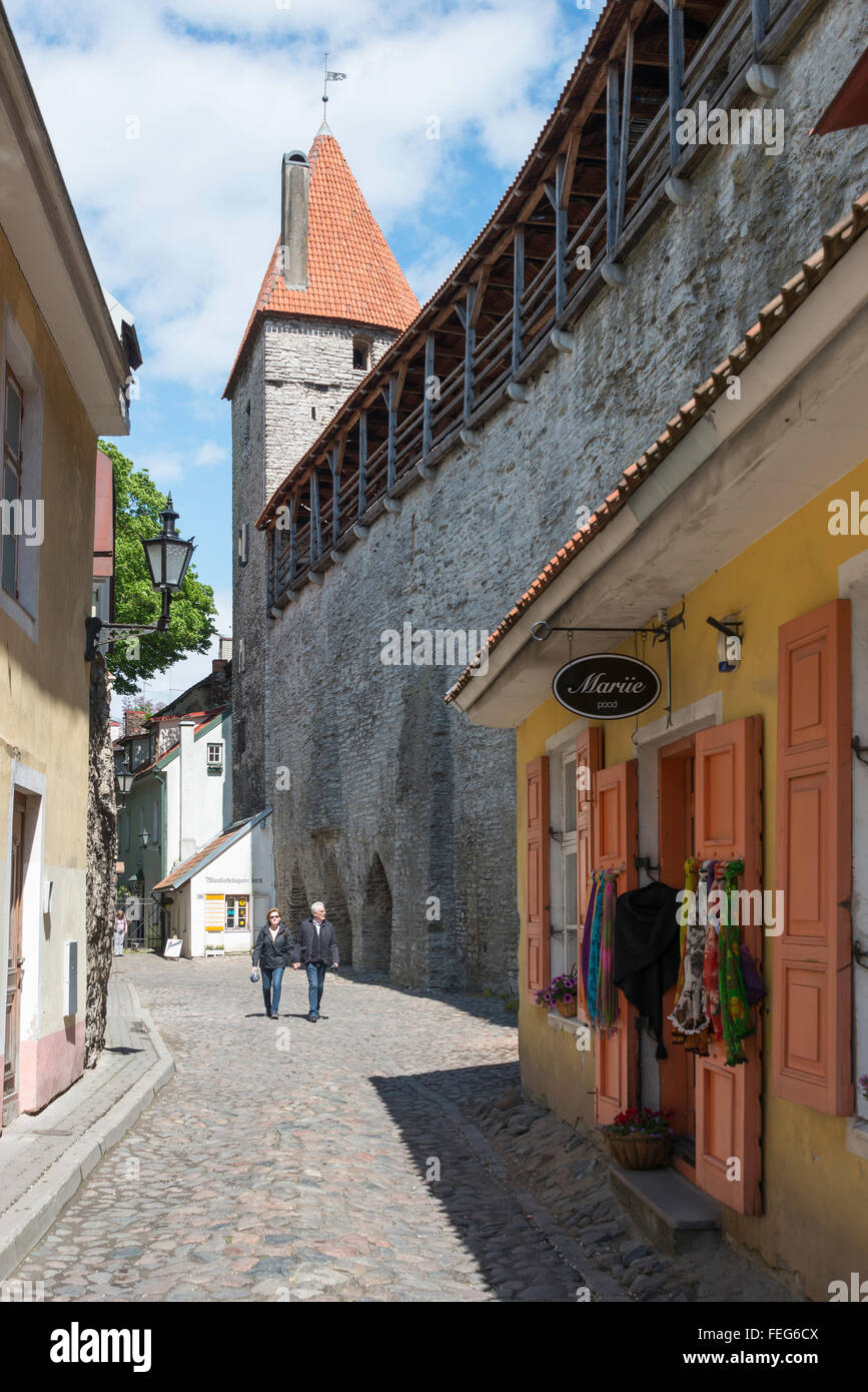 Old Town walls and gate, Old Town, Tallinn, Harju County, Republic of Estonia Stock Photo
