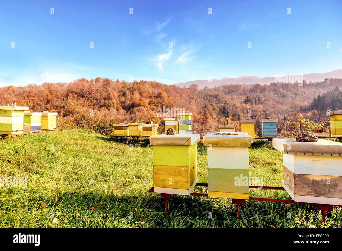 Apiary at Moraca Monastery in Kolasin, Montenegro Stock Photo