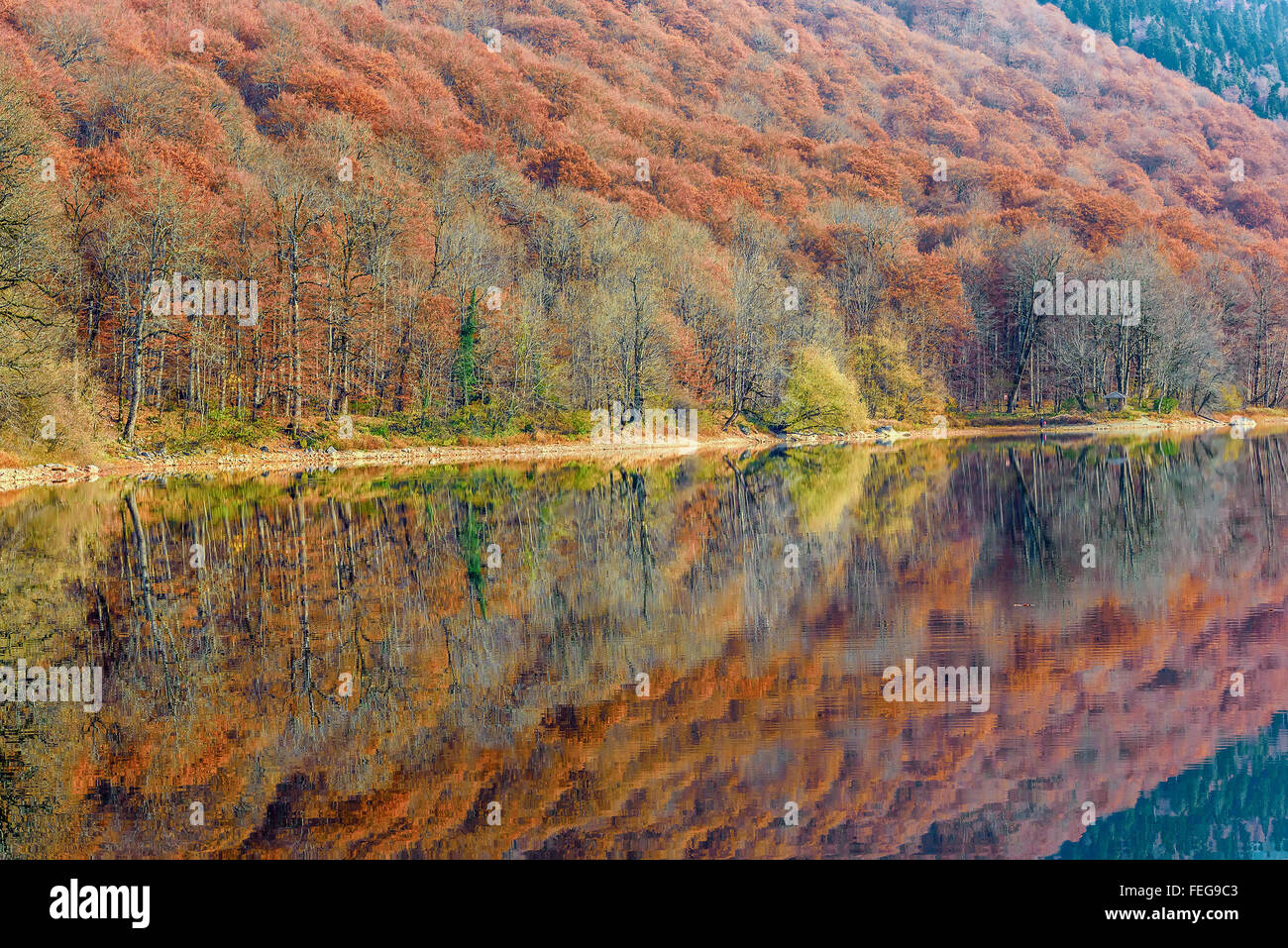 Lake Biograd (Biogradsko jezero), Biogradska Gora national park in autumn, Montenegro Stock Photo