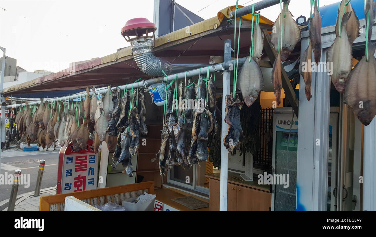 Dried fish at the fishing village in Korea Stock Photo Alamy