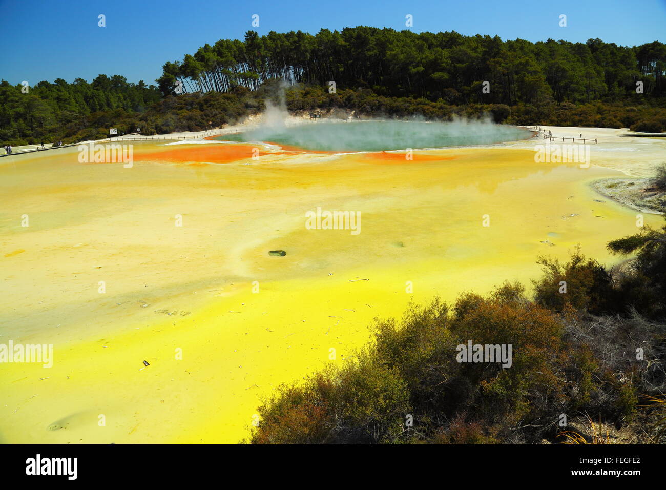Champagne Pool in the stunning and amazing geothermal landscape of Wai-O-Tapu thermal area, Rotorua, New Zealand. Stock Photo
