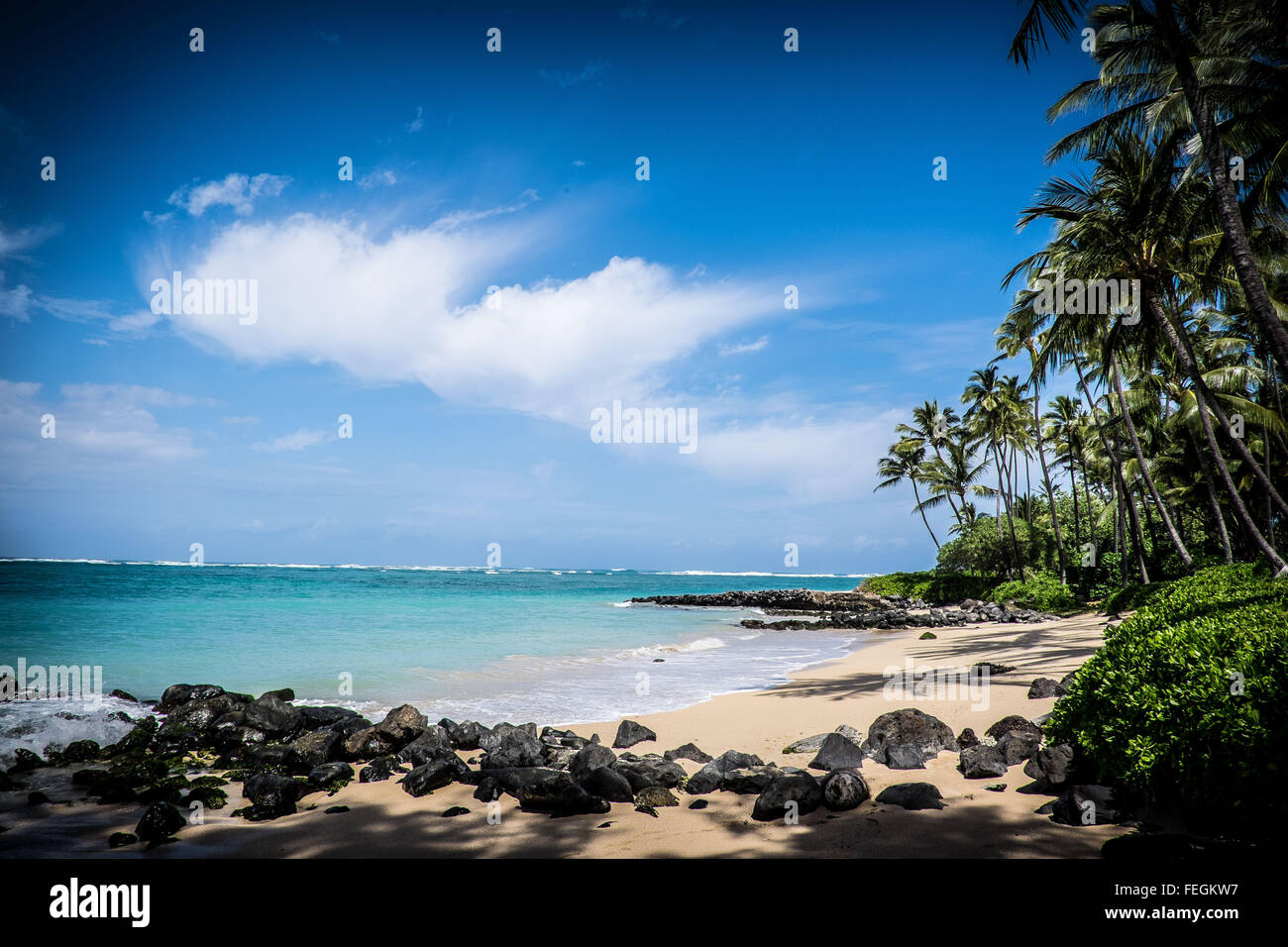Beach on the island of Maui, Hawaii (USA Stock Photo Alamy