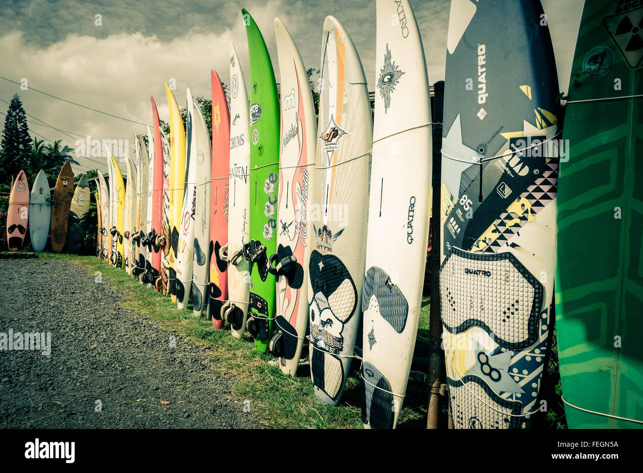 Surfboards along the Hana Highway on the island of Maui, Hawaii (USA