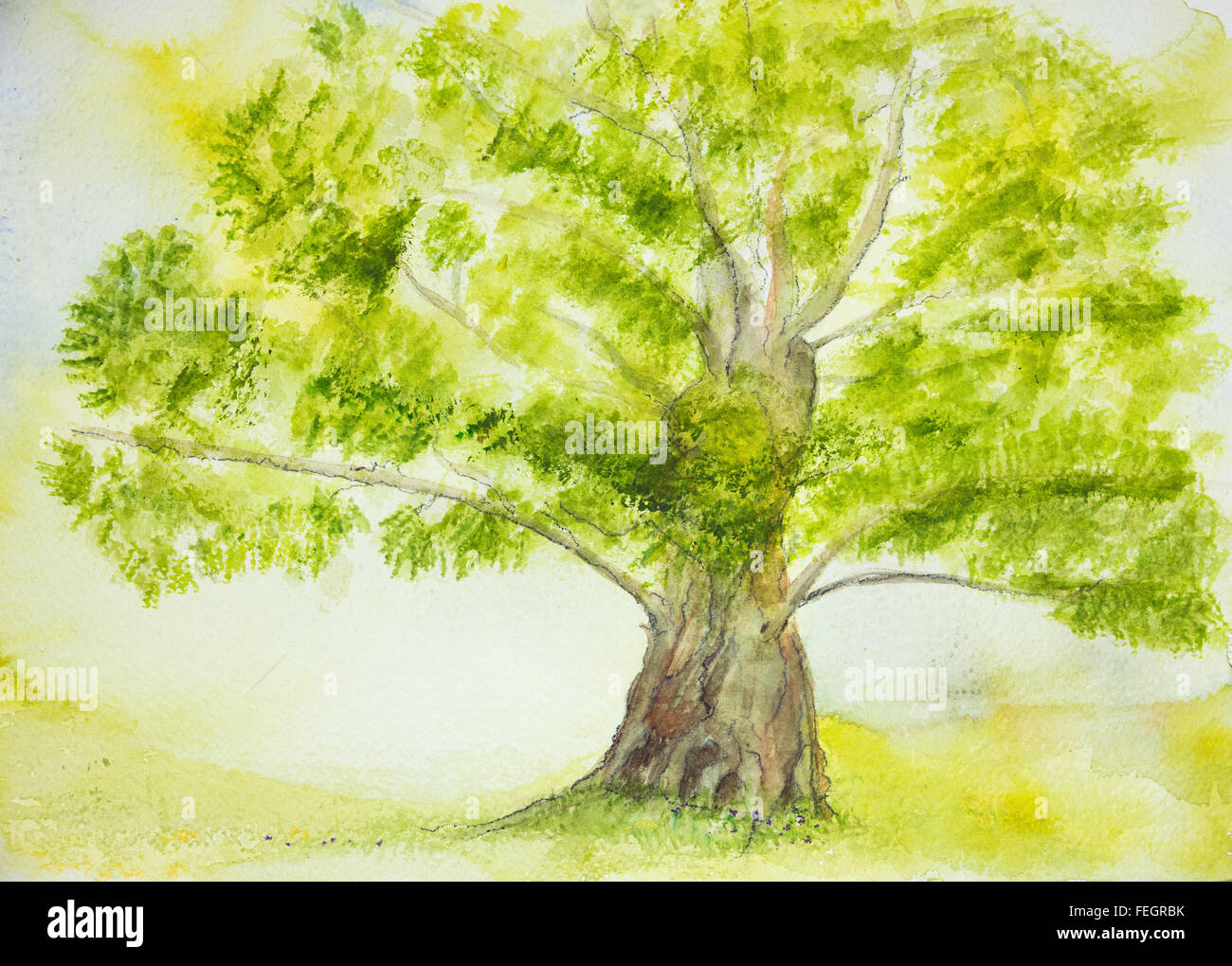 Lonesome tree with big trunk. The dabbing technique near the edges