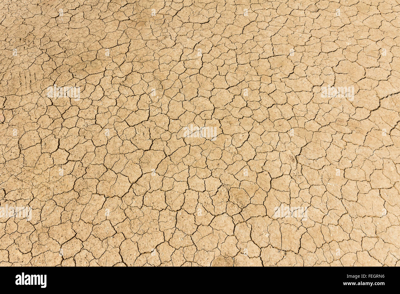 Ground background hi-res stock photography and images - Alamy