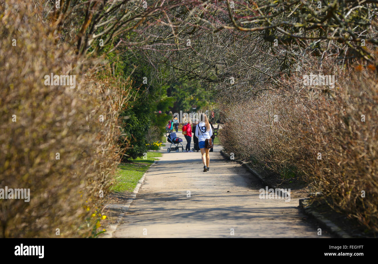 People walking in Hazelhead Park in Aberdeen city, Scotland, UK Stock Photo