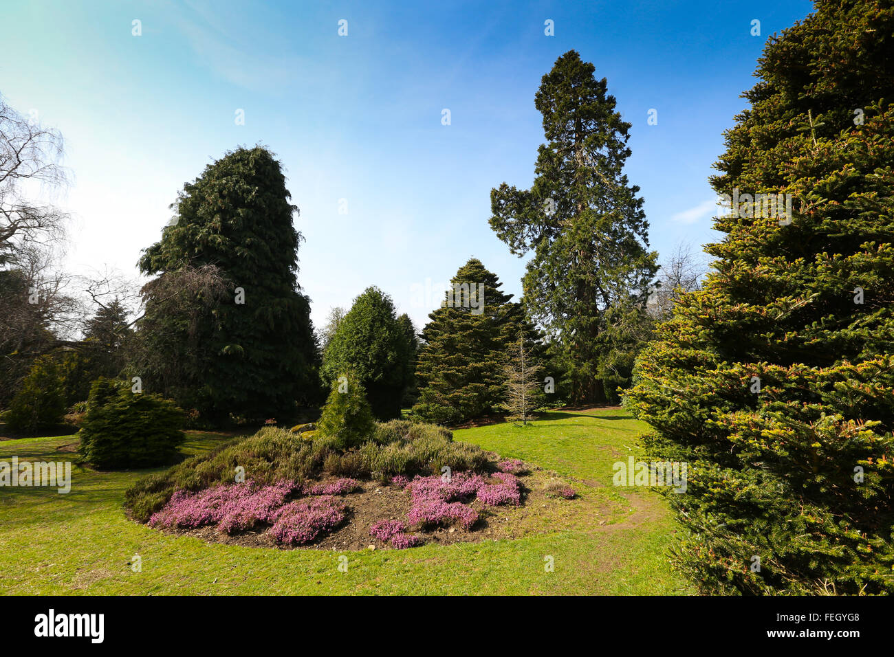 Gardens in Hazelhead Park in Aberdeen city, Scotland, UK Stock Photo