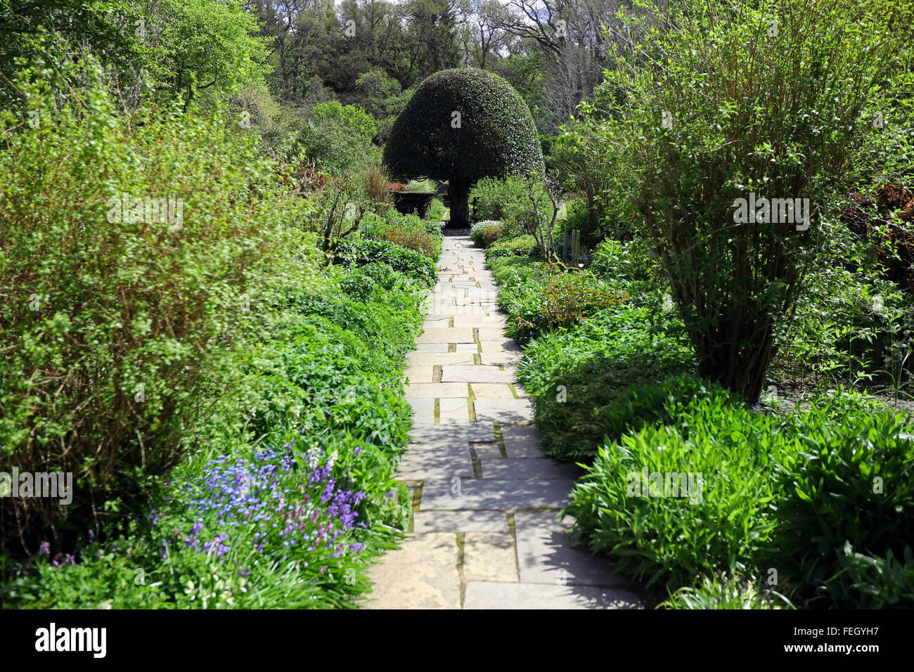 Garden path in the grounds of Crathes Castle, Aberdeenshire, Scotland, uk Stock Photo