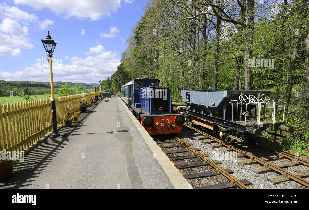 Trains at reopened section of the Royal Deeside Railway at the Milton of Crathes visitor centre, Aberdeenshire, Scotland, uk, Stock Photo