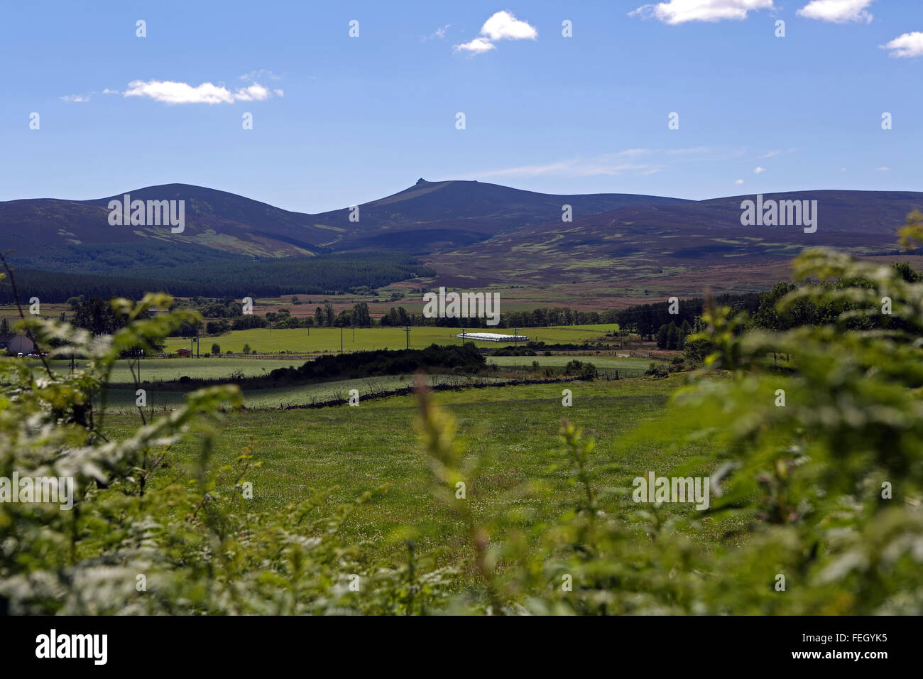 The hill of Clachnaben in Glen Dye, Aberdeenshire, Scotland, uk, with it's distinctive granite tor visible Stock Photo