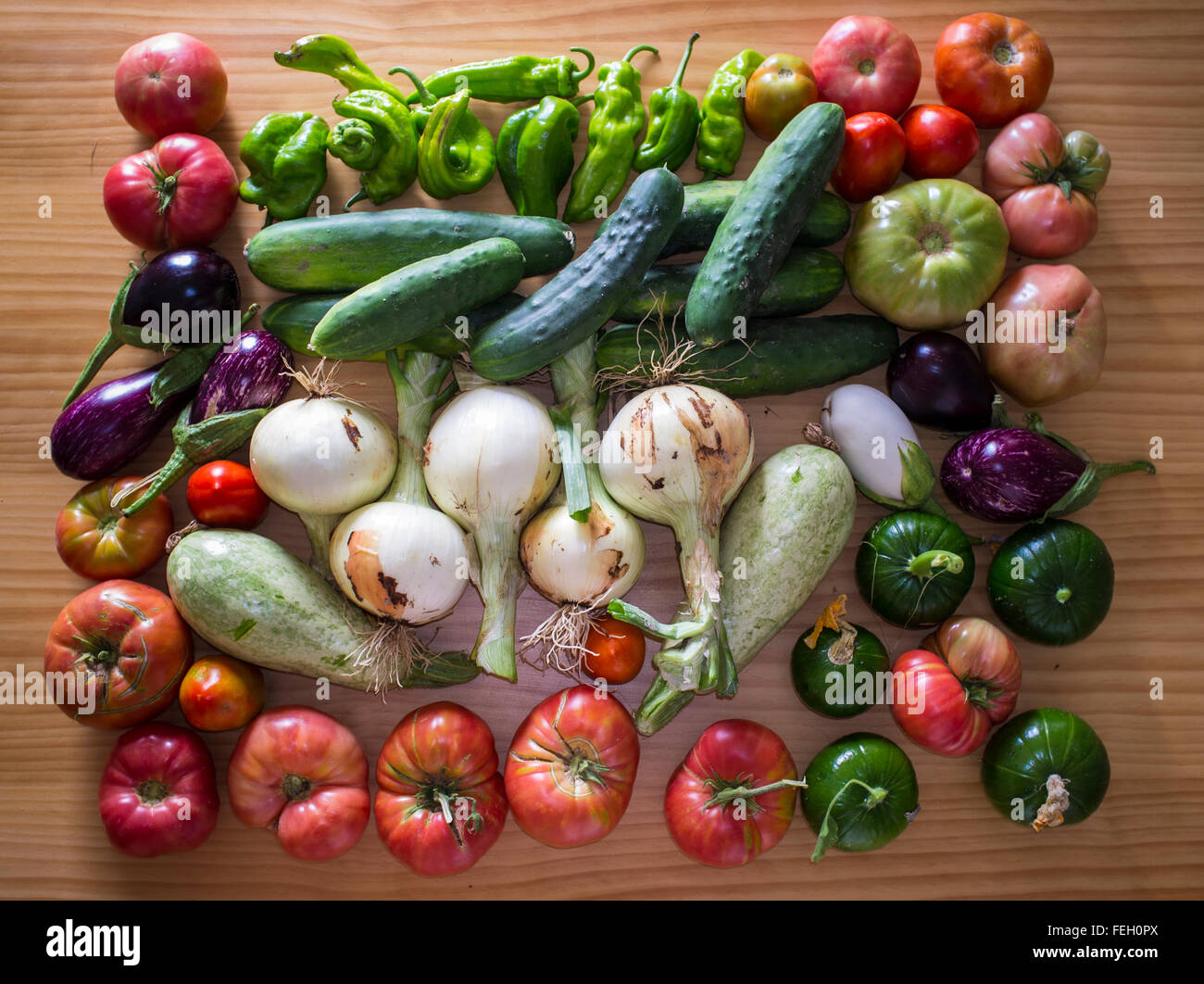 Large, beautiful organically home grown vegetables. Grown in Carcabuey, Cordoba, Andalusia. Spain Stock Photo